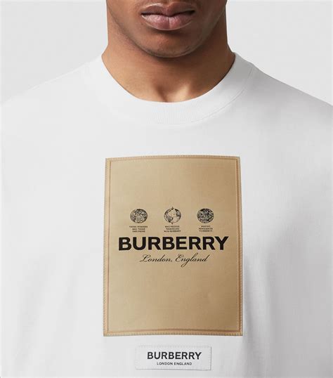 burberry t-shirt herren|Burberry t shirts men sale.